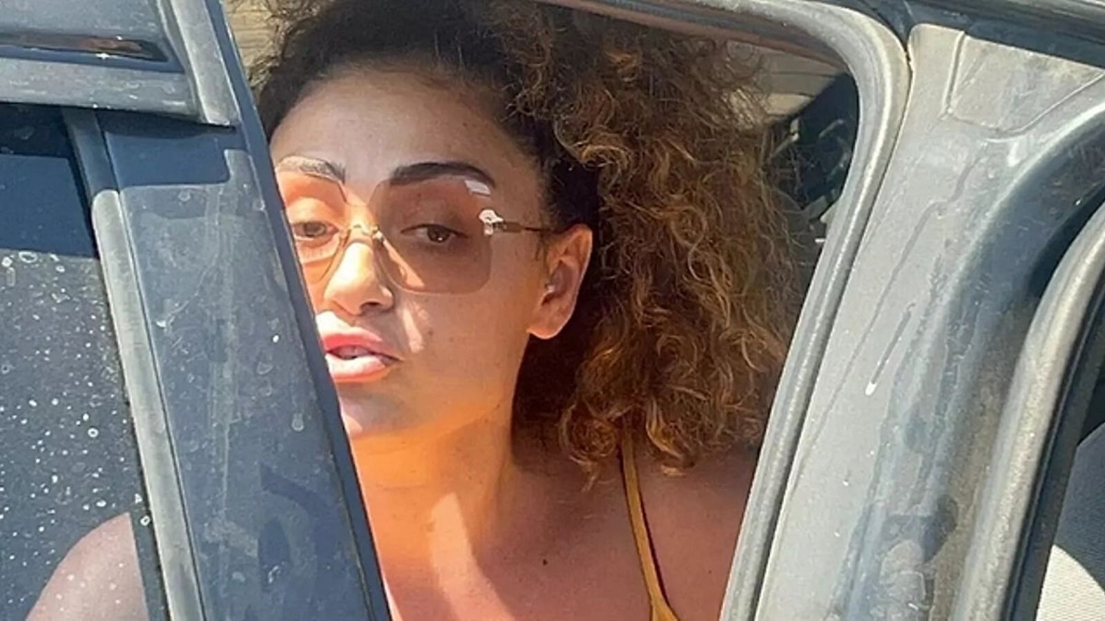 Dilan Çıtak Tatlıses Gözaltı Olayı: Emniyet Şeridi ve Tepkiler